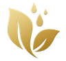 Verve Bloom Logo